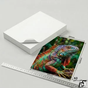 Fotográfico Adhesivo Glossy 135 grm A3