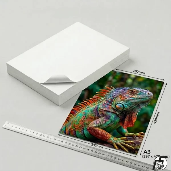 Fotográfico Adhesivo Glossy 135 grm A3