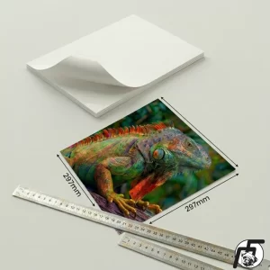 Fotográfico Glossy 240grm A3