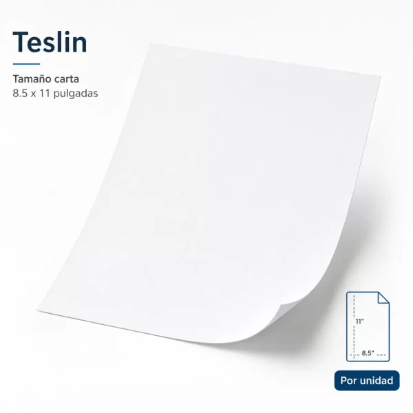 Teslin Carta x unidad